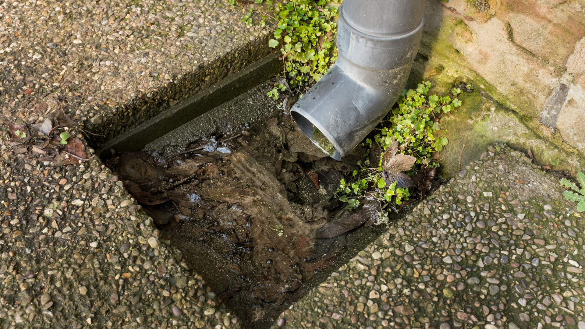 How Weather Conditions Impact Blocked Drains: Tips for Seasonal Maintenance